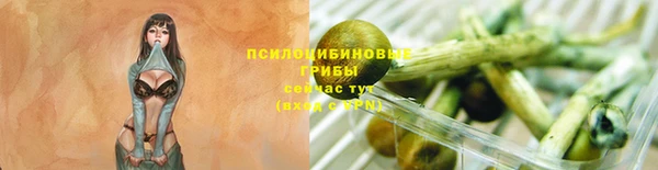 2c-b Краснотурьинск