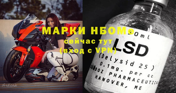 гашик Кулебаки
