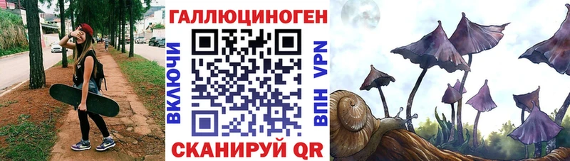 площадка телеграм  мега как войти  Чкаловск  Псилоцибиновые грибы Psilocybine cubensis 