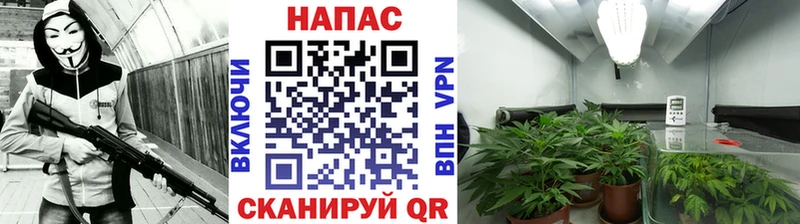 OMG маркетплейс  Чкаловск  Бошки марихуана ГИДРОПОН  где можно купить наркотик 